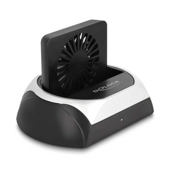 DELOCK docking station για M.2 NVMe/SATA ή 2.5