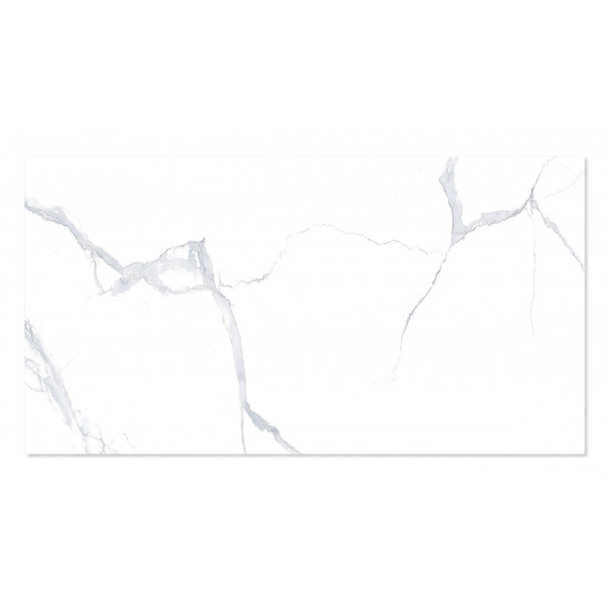 WINGRESS πλακάκι WNC-BELEN-WHITE, 120x60cm, glossy finish, belen white, 2τμχ 1.44m²