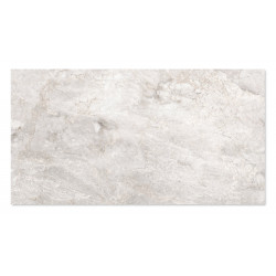 WINGRESS πλακάκι WNC-BRACIA-SILVER-GREY, 120x60cm, glossy finish, bracia silver grey, 2τμχ 1.44m²