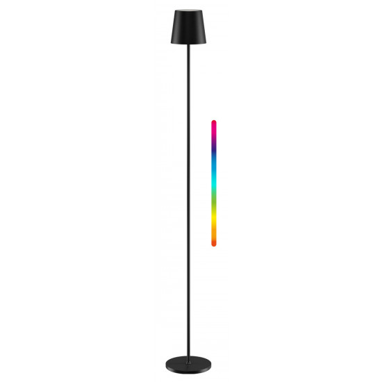 GOOBAY επιτραπέζιο φωτιστικό 76573, RGBW, dimmable, επαναφορτιζόμενο, έως 122.3cm ύψος, μαύρο