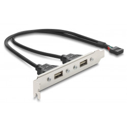DELOCK κάρτα επέκτασης USB 9pin σε 2x USB 2.0 91800, 480Mbps