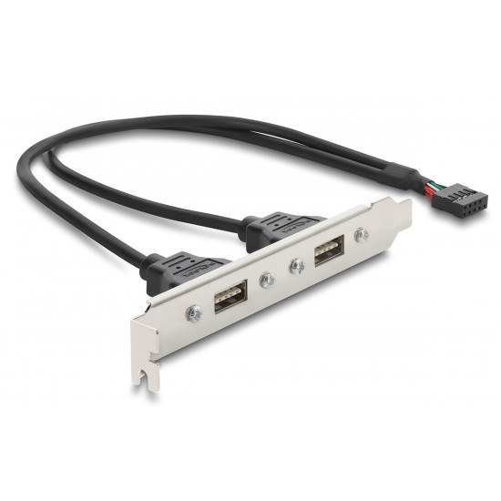 DELOCK κάρτα επέκτασης USB 9pin σε 2x USB 2.0 91800, 480Mbps