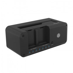 ICY BOX IB-2924MSCL-C31 Docking Station για σκληρούς δίσκους SATA HDD/SSD 2.5