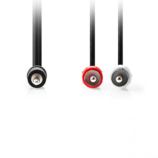 NEDIS CAGL22200BK100 Καλώδιο 2x RCA αρσ. - 3.5mm Stereo αρσ, 10m. - NEDIS
