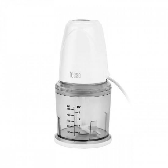 Μπλέντερ 260W με δοχείο 500ml TEESA