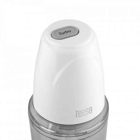 Μπλέντερ 260W με δοχείο 500ml TEESA