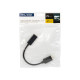 Μετατροπέας DisplayPort σε HDMI BLOW