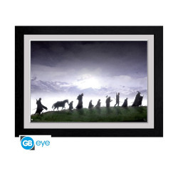 Abysse: The Lord Of The Rings - Fellowship Framed Print (30x40cm) (PFC972)