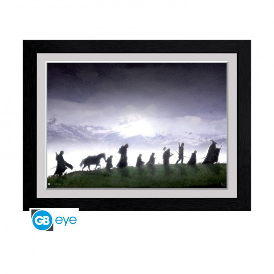 Abysse: The Lord Of The Rings - Fellowship Framed Print (30x40cm) (PFC972)