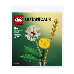 LEGO Botanicals: Field Flowers (30701)