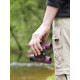 Olympus 8X25 WP II PURPLE Binoculars