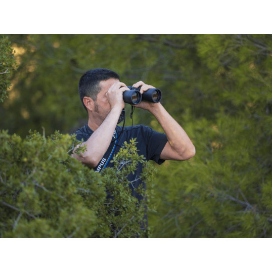 Olympus Binoculars 8x40 S incl. Case & Strap