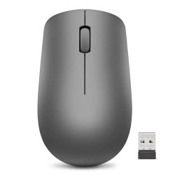 Lenovo Ποντίκι 530 Wireless Graphite (GY50Z49089) (LENGY50Z49089)