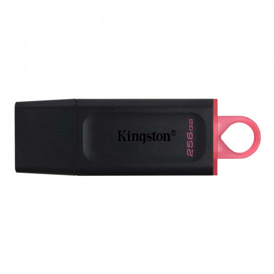 Kingston DataTraveler Exodia 256GB USB 3.2 Gen 1 (DTX/256GB) (KINDTX/256GB)