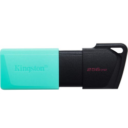 USB 3.2 Kingston Flash Drive Exodia M 256GB DTXM/256GB 49655