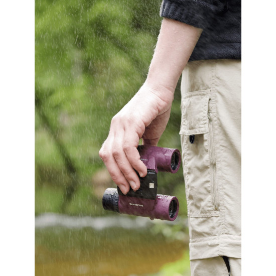Olympus 8X25 WP II PURPLE Binoculars