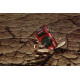 Olympus OM-System TG-7 Red Tough Camera Underwater